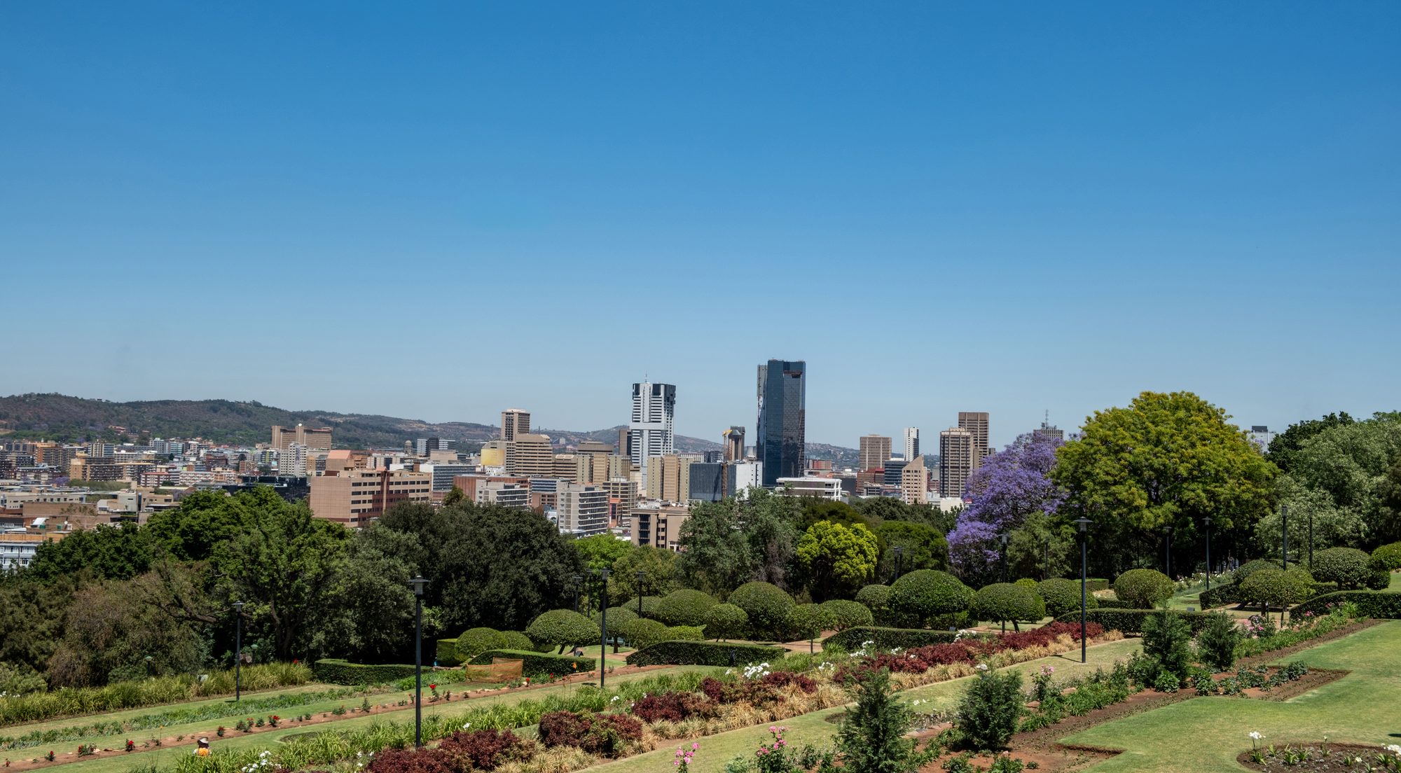 The Pretoria skyline seen from the Union Buildings gardens, with a jacaranda in bloom
